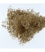 Gold-coloured dried Gypsophila Mini | Length ± 50 centimetres | Available to order per 10 stems