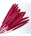 Fuchsia pink dried Babala | Length ± 65 centimetres | Available to order per 15 stems