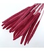 Fuchsia pink dried Babala | Length ± 65 centimetres | Available to order per 15 stems