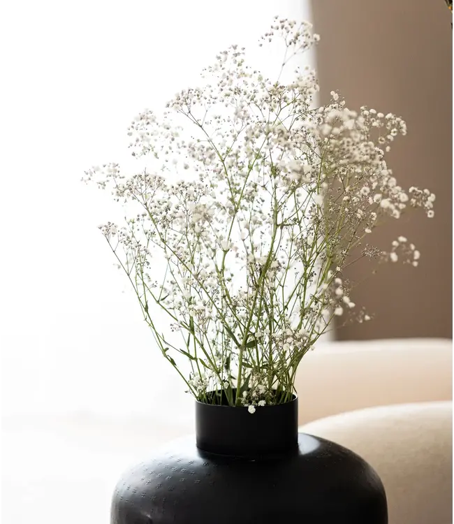 Natural white dried Gypsophila | White Gypsophila dried flowers | Length ± 65 cm | Order per bunch of 5 branches