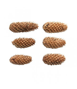 4A Pommes de pin Spruce naturelles brunes | Par 5 kilos