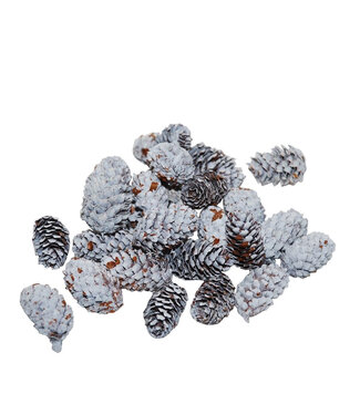 4A Mini pommes de pin Spruce blanches naturelles | Longueur 4 - 5 centimètres | Par 180 grammes