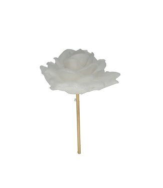 4A Natural white wax Rose Bijsteker | Diameter 10 centimetres | Per 12 pieces
