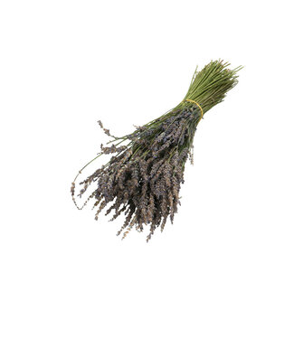 4A Purple dried Lavender | Length 30 centimetres | Weight 100 grams | Per bunch