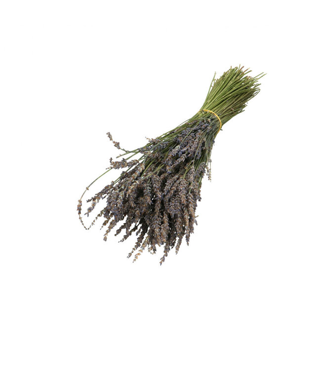Purple dried Lavender | Length 30 centimetres | Weight 100 grams | Available to order per bunch
