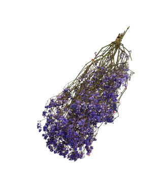 4A Purple blue dried Baby's Breath | Gypsophila dried flowers | Length 70 centimetres | Weight 50 grams | Per bunch