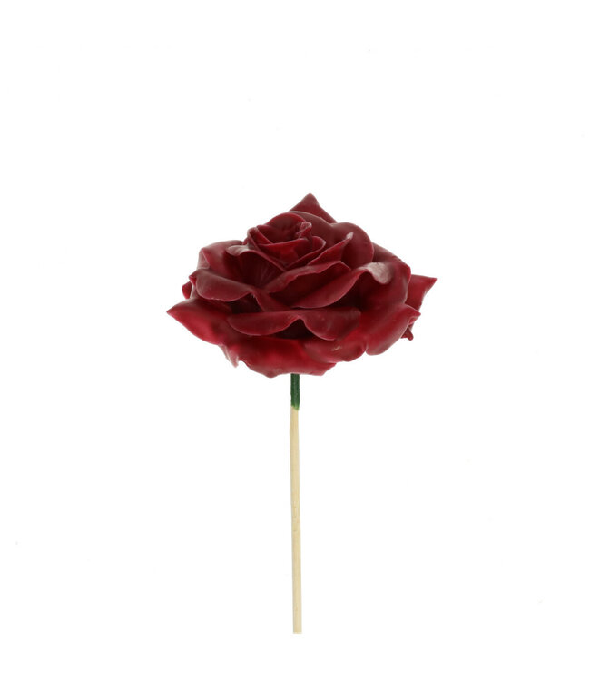 Bordeaux red wax rose Bijsteker | Diameter 10 centimetres | Available to order per 12 pieces