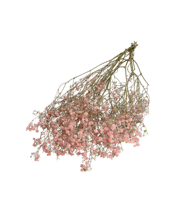 Light pink dried Baby's Breath | Gypsophila dried flowers | Length 70 centimetres | Weight 50 grams | Available per bunch