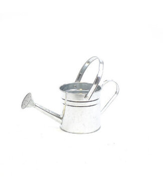 4A Silver-coloured zinc Watering Can | Diameter 14.5 centimetres | Height 14.5 centimetres | Per 4 pieces