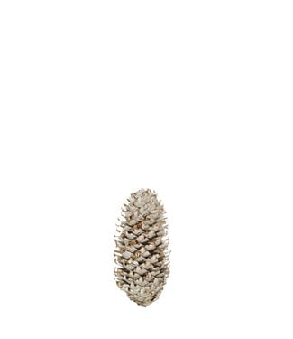 4A Épinettes blanches naturelles | Par 5 kilos