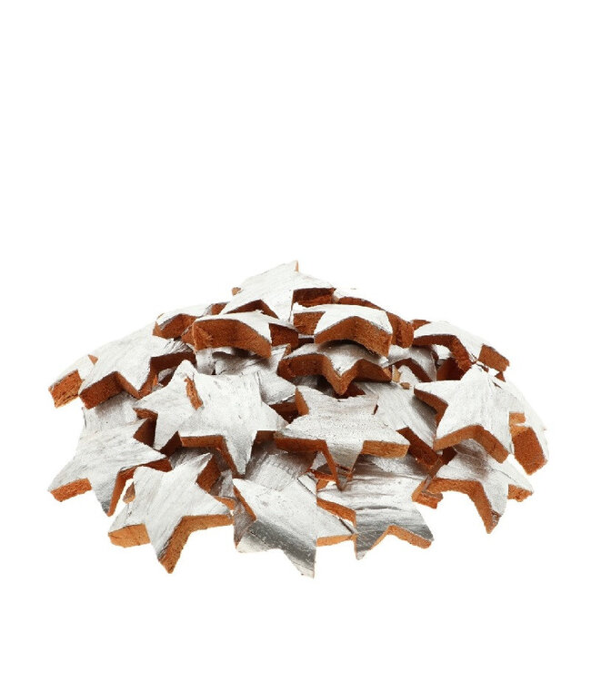 Silver-coloured coconut fibre Star | Diameter 7 centimetres | Available to order per 50 pieces