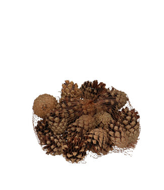 4A Pommes de pin Sylvester naturelles brunes | Par 200 grammes