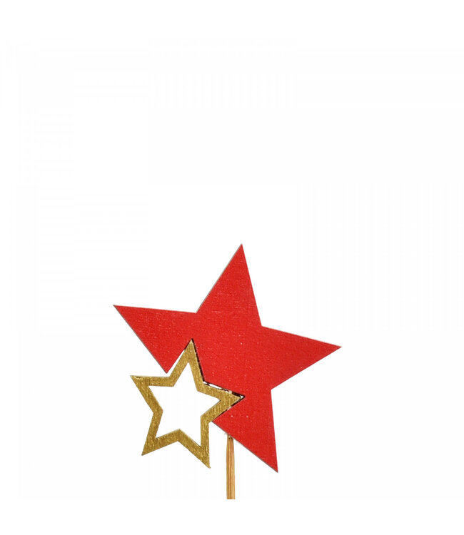 Étoile Duo Rouge Bijsteker | Longueur 20 centimètres | Diamètre étoile 7 centimètres | Commande par 12 pièces