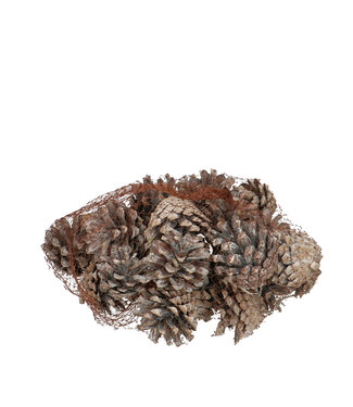 4A Pommes de pin Sylvester marron mat naturel | Par 200 grammes