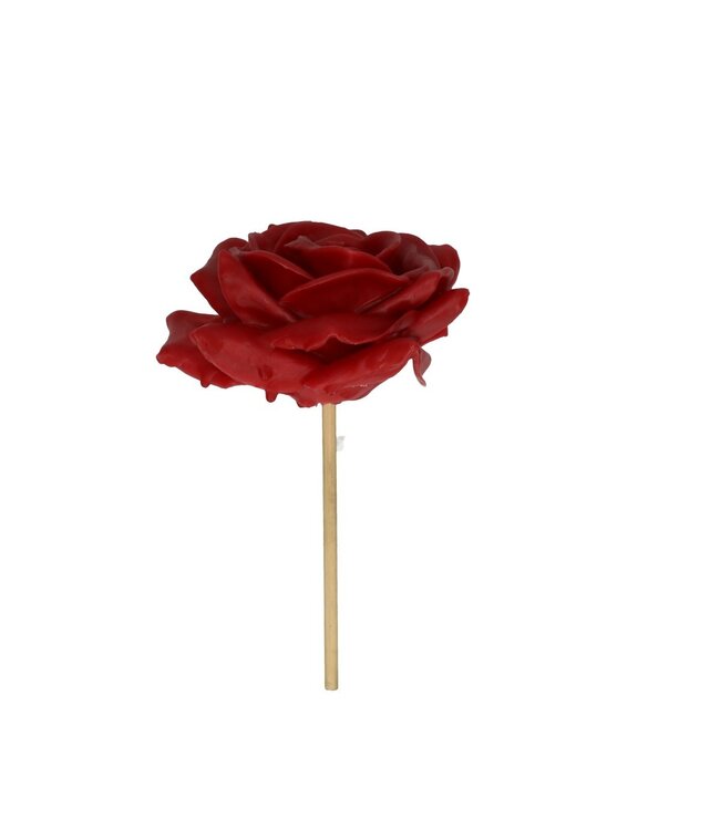 Rose était Roos Bijsteker | Diamètre 10 centimètres | À commander par 12 pièces