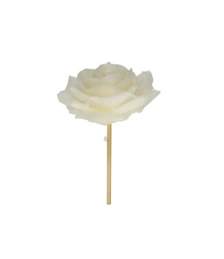 4A Cream-coloured candle Rose Bijsteker | Diameter 10 centimetres | Per 12 pieces