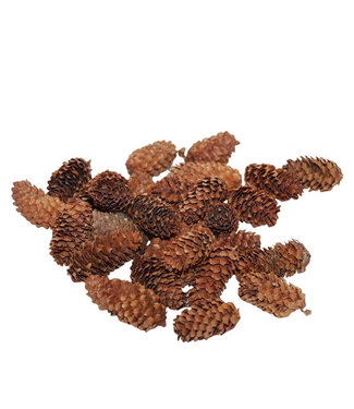4A Mini pommes de pin Spruce naturelles brunes | Longueur 4 - 5 centimètres | Par 180 grammes