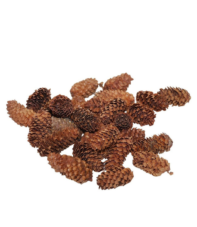 Mini pommes de pin Spruce naturelles brunes | Longueur 4 - 5 centimètres | À commander par 180 grammes