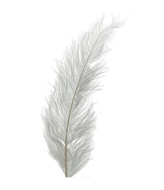 4A Plumes d'autruche blanches naturelles | Longueur 55 centimètres | Par 5 pièces