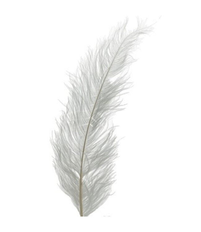 Plumes d'autruche blanches naturelles | Longueur 55 centimètres | Commande par lot de 5 pièces