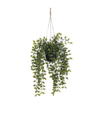 4A Ficus Artificiel Suspendu Vert | Diamètre 20 centimètres | Hauteur 65 centimètres | Par 6 pièces