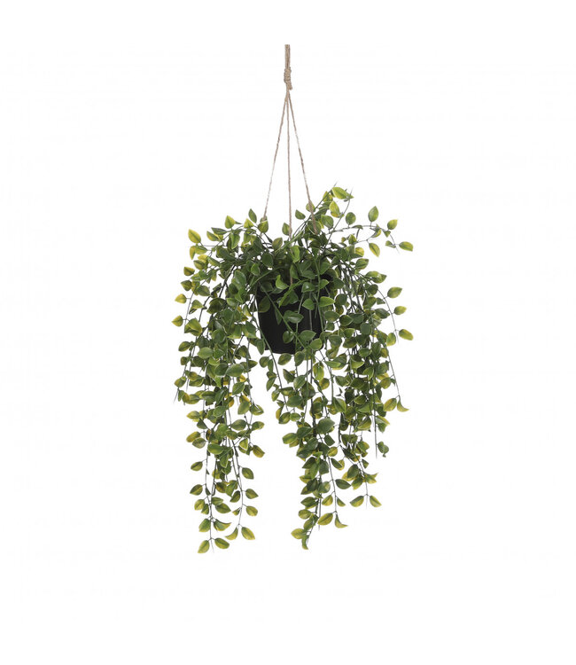 Ficus Artificiel Suspendu Vert | Diamètre 20 centimètres | Hauteur 65 centimètres | À commander par 6 pièces