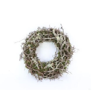 4A Couronne de bonsaï en mélèze naturel | Diamètre 30 centimètres | Par pièce