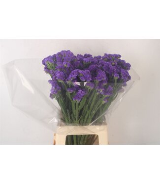 SLF Lim S Cryst Purple ( x 25 )