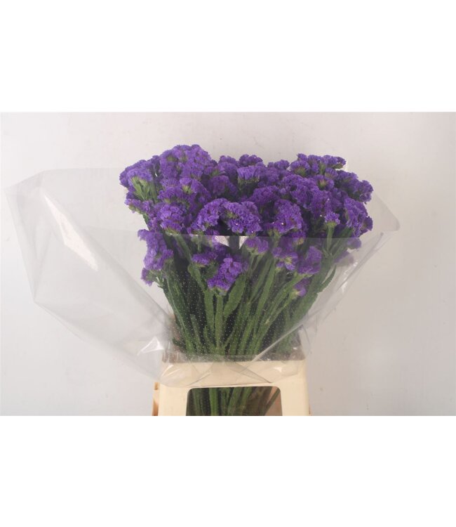 Lim S Cryst Purple ( x 25 )