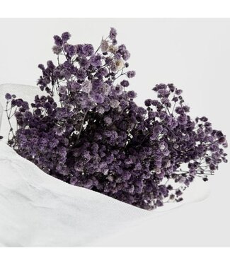 Gypsophile préservée bleu lavande | Gypsophila préservée fleurs séchées | Poids ± 100 grammes | Longueur 65 ± centimètres | Par bouquet