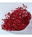 Gypsophile préservée rouge | Gypsophile préservée fleurs séchées | Poids ± 100 grammes | Longueur 65 ± centimètres | À commander par bouquet