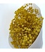 Gypsophile préservée jaune | Gypsophile préservée fleurs séchées | Poids ± 100 grammes | Longueur 65 ± centimètres | À commander par bouquet