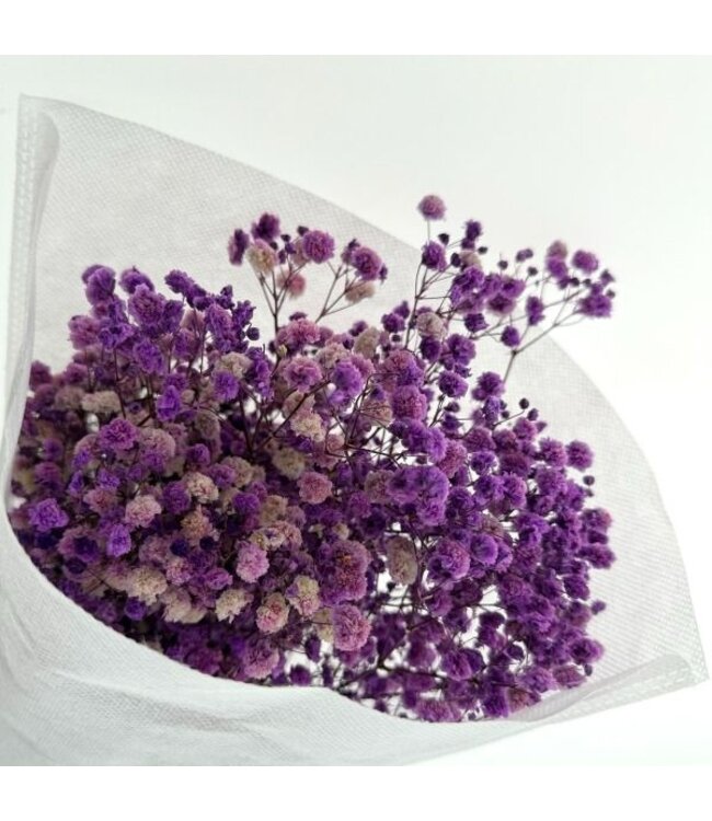 Gypsophile préservée violette | Gypsophile préservée fleurs séchées | Poids ± 100 grammes | Longueur 65 ± centimètres | À commander par bouquet
