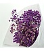 Gypsophile préservée violette | Gypsophile préservée fleurs séchées | Poids ± 100 grammes | Longueur 65 ± centimètres | À commander par bouquet