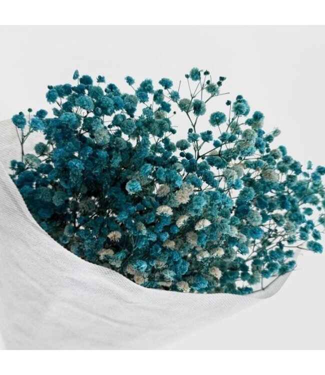 Gypsophile préservée bleu clair | Gypsophila préservée fleurs séchées | Poids ± 100 grammes | Longueur 65 ± centimètres | À commander par bouquet