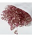 Gypsophile préservée rose clair | Fleurs séchées Gypsophila préservées | Poids ± 100 grammes | Longueur ± 65 centimètres | À commander par bouquet