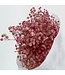 Gypsophile préservée rose clair | Fleurs séchées Gypsophila préservées | Poids ± 100 grammes | Longueur ± 65 centimètres | À commander par bouquet