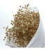 Gypsophile blanc naturel préservé | Gypsophila séchée préservée | Poids ± 100 grammes | Longueur ± 65 centimètres | À commander par bouquet