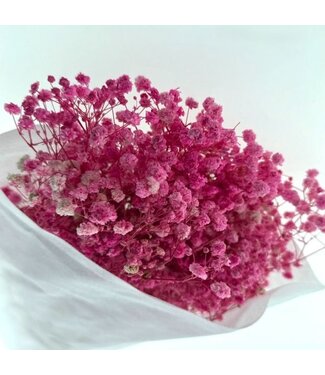 Gypsophile rose préservée | Gypsophila préservée fleurs séchées | Poids ± 100 grammes | Longueur 65 ± centimètres | Par bouquet