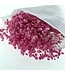 Gypsophile rose préservée | Gypsophila préservée fleurs séchées | Poids ± 100 grammes | Longueur 65 ± centimètres | À commander par bouquet