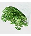 Gypsophile préservée verte | Gypsophila préservée fleurs séchées | Poids ± 100 grammes | Longueur 65 ± centimètres | À commander par bouquet