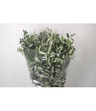 SLF Olijf Per Bunch 300 Gram ( x 5 )
