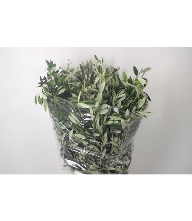 Olijf Per Bunch 300 Gram ( x 5 )