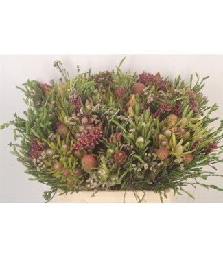 SLF Erica Bqt Cone Mix ( x 5 )
