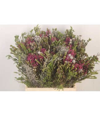 SLF Erica Bqt Mix Premium ( x 5 )
