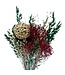 Dried Flower Bouquet Elora | Height ± 40 centimetres | With red, gold-coloured and green dried flowers | Available to order per bunch