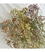 Gypsophila Mix droogbloemen | Pasteltinten | Lengte ± 65 centimeter | Per 5 takken te bestellen