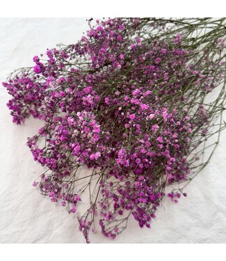 Dutch Dried Dark Pink Gypsophila Baby's Breath Dried Flowers | Length ± 65 centimetres | Packed per 5 stems | Per bunch
