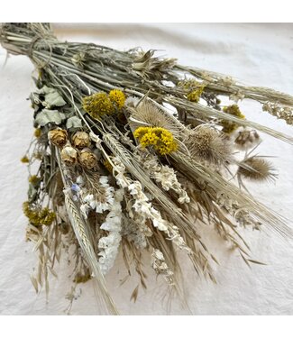 MyFlowers Bouquet of dried flowers Isabelle | Length ± 55 centimetres | Per bouquet