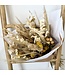 Bouquet of dried flowers Isabelle | Length 55 centimetres | Available per bouquet